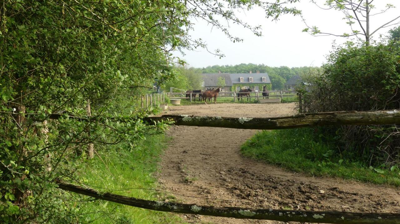 Bed and Breakfast La Petite Lande Ménil Esterno foto
