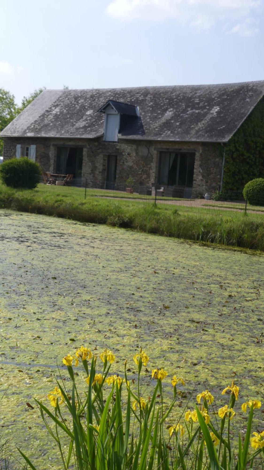 Bed and Breakfast La Petite Lande Ménil Esterno foto