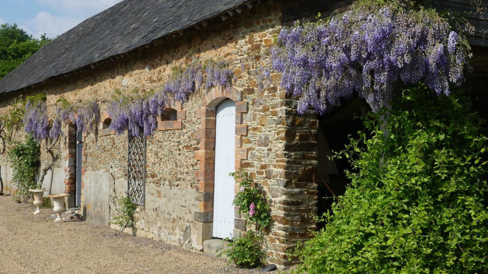 Bed and Breakfast La Petite Lande Ménil Esterno foto